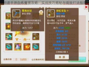 问道手游血炼魔猪攻略：实战技巧揭秘与高效打法指南