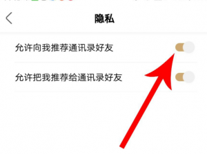 绿洲视角下的通讯录好友：深度解读与探索