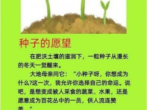 需要爸爸播种高清种子，成就你的高清世界