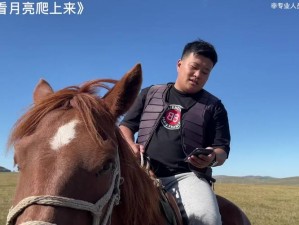 《抖音风华：九重城关下的马正酣之歌》