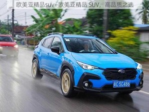 欧美亚精品suv—欧美亚精品 SUV，高品质之选