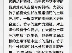 竹子质量进阶之路：提升等级的关键要素与实践探索