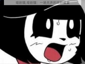 哑剧猫,哑剧猫：一场无声的戏剧盛宴