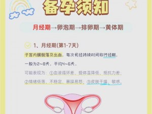 女性开四门是哪四门;女性开四门是哪四门？解读女性必修的四门课程