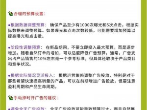 SP与SSR：技术领域的新兴力量——深度解析其定义与应用