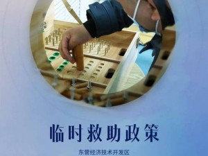 苦主救助中心提速策略：探索创新路径，促进中心高效运转与发展