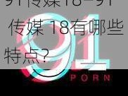 91传媒18—91 传媒 18有哪些特点？