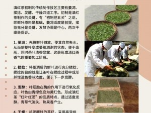 手工匠心：红茶的独特制作之旅