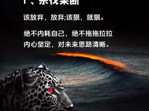 果断出击，猛烈一击——探寻哪一更胜一筹的行动准则