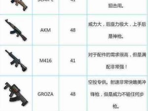 绝地求生手游AKM与M16A4枪械性能深度对比：哪把武器更胜一筹？