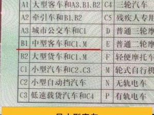 欧亚尺码专线欧洲B1B1长期霸榜直播排行_欧亚尺码专线欧洲 B1B1 长期霸榜直播排行，究竟有何秘诀？