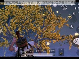 和平精英桂花树生长地揭秘：探寻游戏中的自然美景与神秘氛围