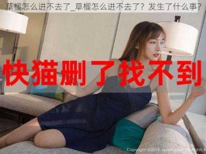 草榴怎么进不去了_草榴怎么进不去了？发生了什么事？