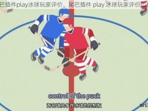 尾巴插件play冰球玩家评价、尾巴插件 play 冰球玩家评价如何？