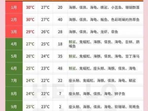 珊瑚岛潜水任务全解析：从准备到实施的详细指南