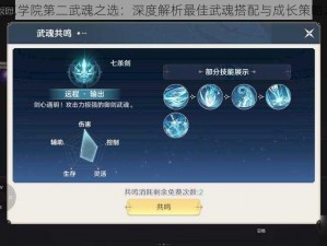 史莱克学院第二武魂之选：深度解析最佳武魂搭配与成长策略之道