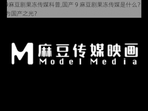 国产9麻豆剧果冻传媒科普,国产 9 麻豆剧果冻传媒是什么？为何被称为国产之光？