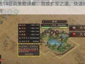 三国志14征兵策略详解：高效扩军之道，快速打造威武之师