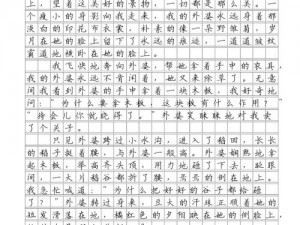 陈处罚丽的作文60000字【陈处罚丽作文之我见】