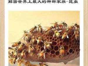 如龙7银系列昆虫探秘之旅：获取方法与解析揭秘