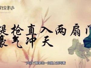 提枪直入两扇门，一入到底真枪实弹