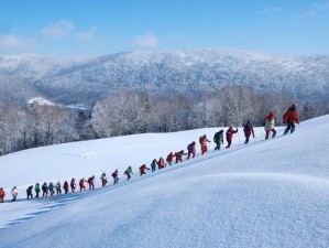 雪域姜波：抓住机遇，发掘潜力，共建理想人居胜地