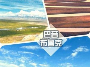 妄想山海金环蜂捕捉地点揭秘：探寻神秘山林，揭秘金环蜂栖息之所