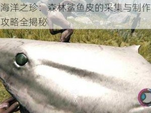 海洋之珍：森林鲨鱼皮的采集与制作攻略全揭秘