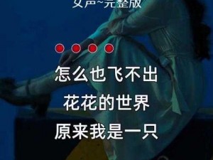 怎么也飞不出那缤纷多彩的花花世界——歌曲探究之旅