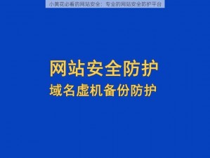 小黄花必看的网站安全：专业的网站安全防护平台