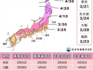 樱花官网官方入门网站 2023-带你探索日化的魅力