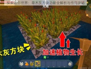 探索迷你世界：草木灰方块功能全解析与作用攻略