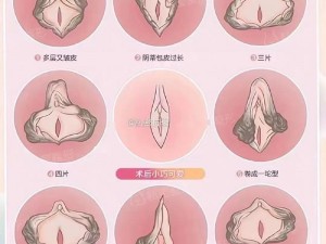 免费看女性私密部位(请问有免费看女性私密部位的网站吗？)