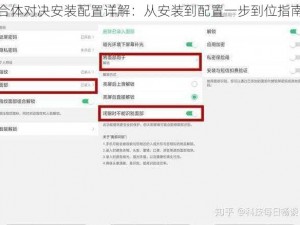 合体对决安装配置详解：从安装到配置一步到位指南