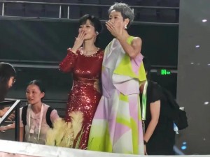 农村一丝不拉演唱会2014年_农村一丝不拉演唱会 2014 年：用歌声唱响乡土情怀