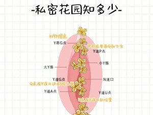 晚上弄哭自己隐私的100种方法、晚上弄哭自己隐私的 100 种方法：探索私密情感的自我疗愈之路