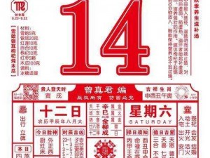 办公室强肝2023年几月几日开播(办公室强肝 2023 年几月几日开播？)