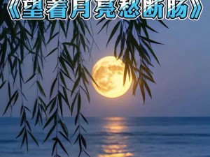 夜色未散，人未走，执手相望饮一口——寻找抖音热门歌曲的踪迹