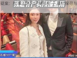 孙美琪疑案：故事工地分尸案揭秘——真相探寻与攻略指南