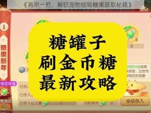 《再刷一把，解锁宠物经验糖果获取秘籍》