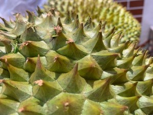 日韩一卡2卡3卡4卡新区榴莲解锁(日韩一卡 2 卡 3 卡 4 卡新区榴莲解锁，精彩内容等你来看)