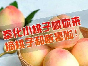 水蜜桃成视频人在线播放【水蜜桃成视频人在线播放，精彩内容等你来看】