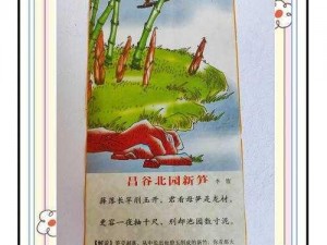 桃源深处有人家：探寻竹笋获取秘籍与生长之地桃源深处有人家之竹笋获取攻略与产地揭秘