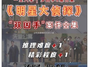 《无敌大侦探之谜案追踪：第65宗案件完全攻略》