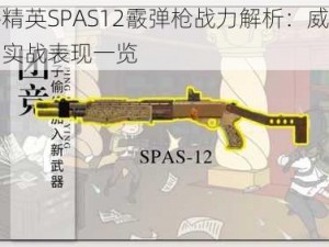 和平精英SPAS12霰弹枪战力解析：威力如何？实战表现一览