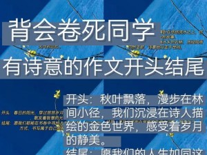 理想大学人生的完美结局：追寻知识与人格的双向升华之路