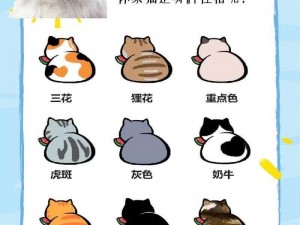 色猫_好色之猫：探究猫咪色彩偏好的秘密