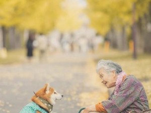 人物动物交互狗片段-老人与狗：跨越种族的温暖交互