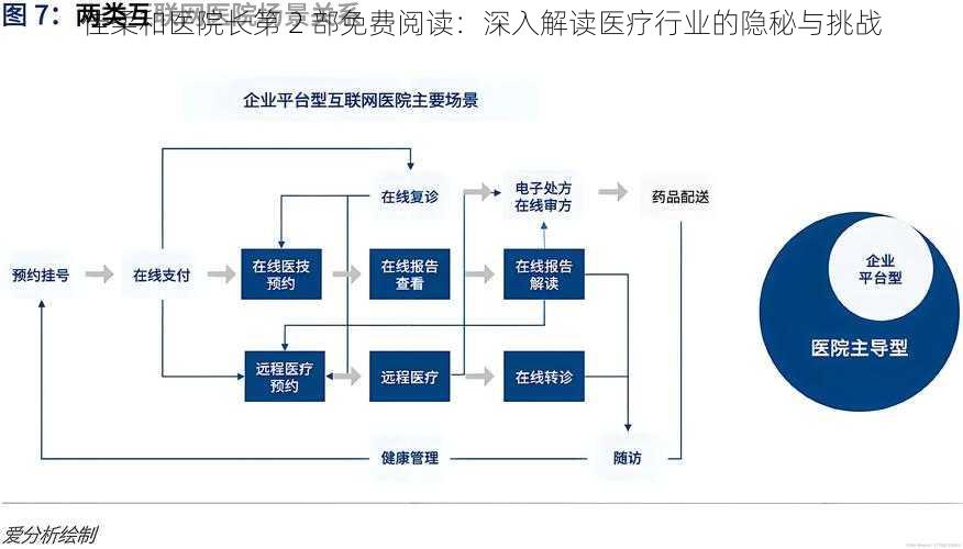 佳柔和医院长第 2 部免费阅读：深入解读医疗行业的隐秘与挑战