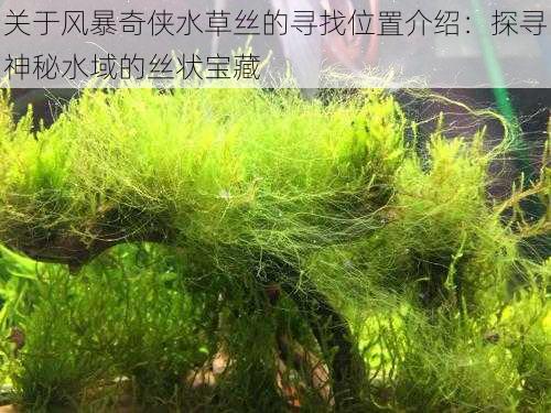 关于风暴奇侠水草丝的寻找位置介绍：探寻神秘水域的丝状宝藏